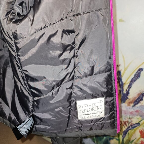 The North Face Girls Gray Hooded Jacket With Pink Accents - Picture 9 of 10